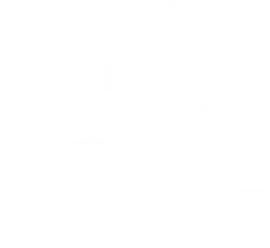 Ícono de engranaje con marca de verificación representando calidad garantizada.